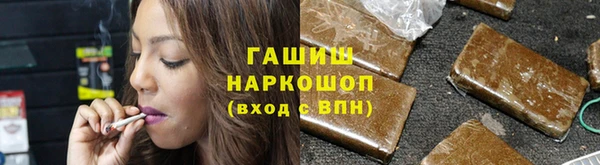 сатива Новодвинск