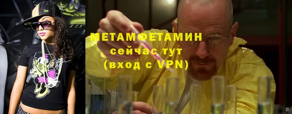 сатива Новодвинск