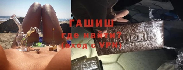 сатива Новодвинск