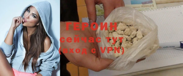 сатива Новодвинск