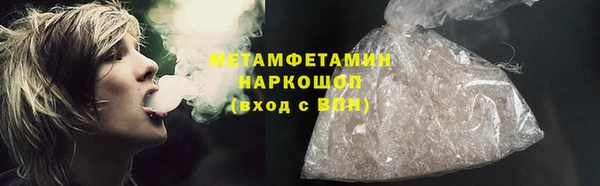 сатива Новодвинск