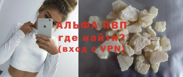 сатива Новодвинск