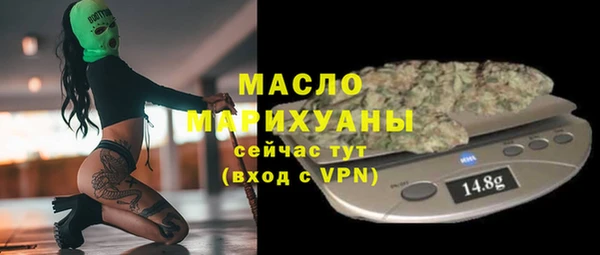 сатива Новодвинск