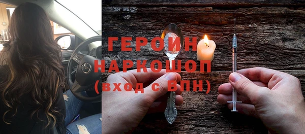 сатива Новодвинск