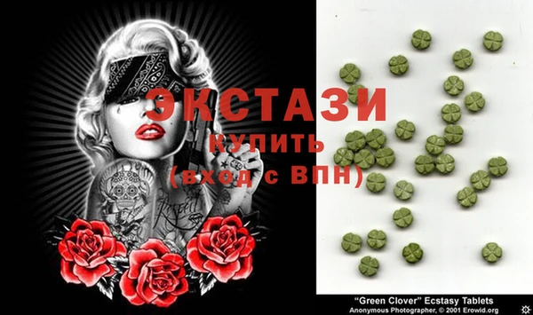 сатива Новодвинск
