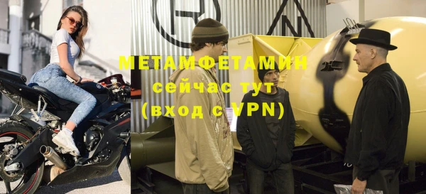 сатива Новодвинск