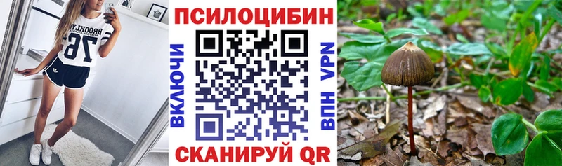 Псилоцибиновые грибы ЛСД  как найти   Белый 